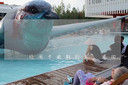 信用卡逾期利息 退回 信用卡逾期利息 退回